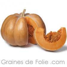Courge Musqu