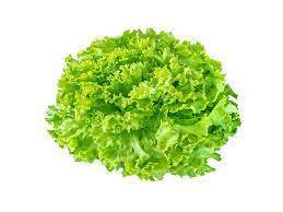 Salade Batavia
